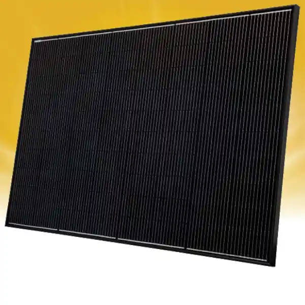 Sofort Bestellen Heckert Solar NeMo® 4.2 80M BLACK - 395 Wp